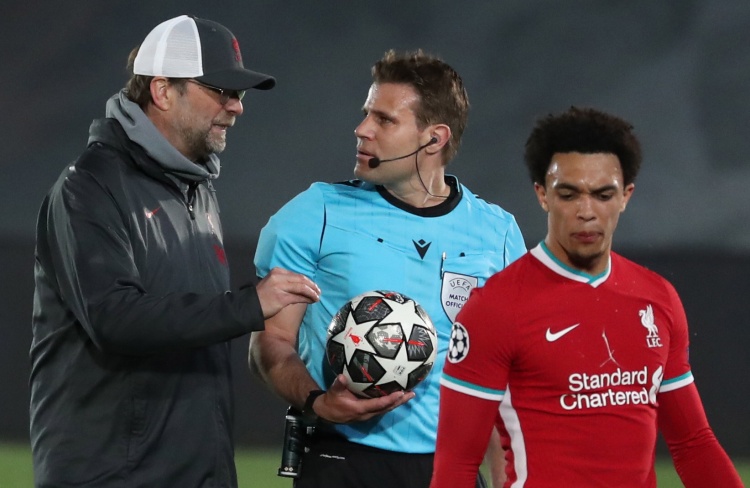 《我的世界》26年首次更新 幼年生物集体变萌！