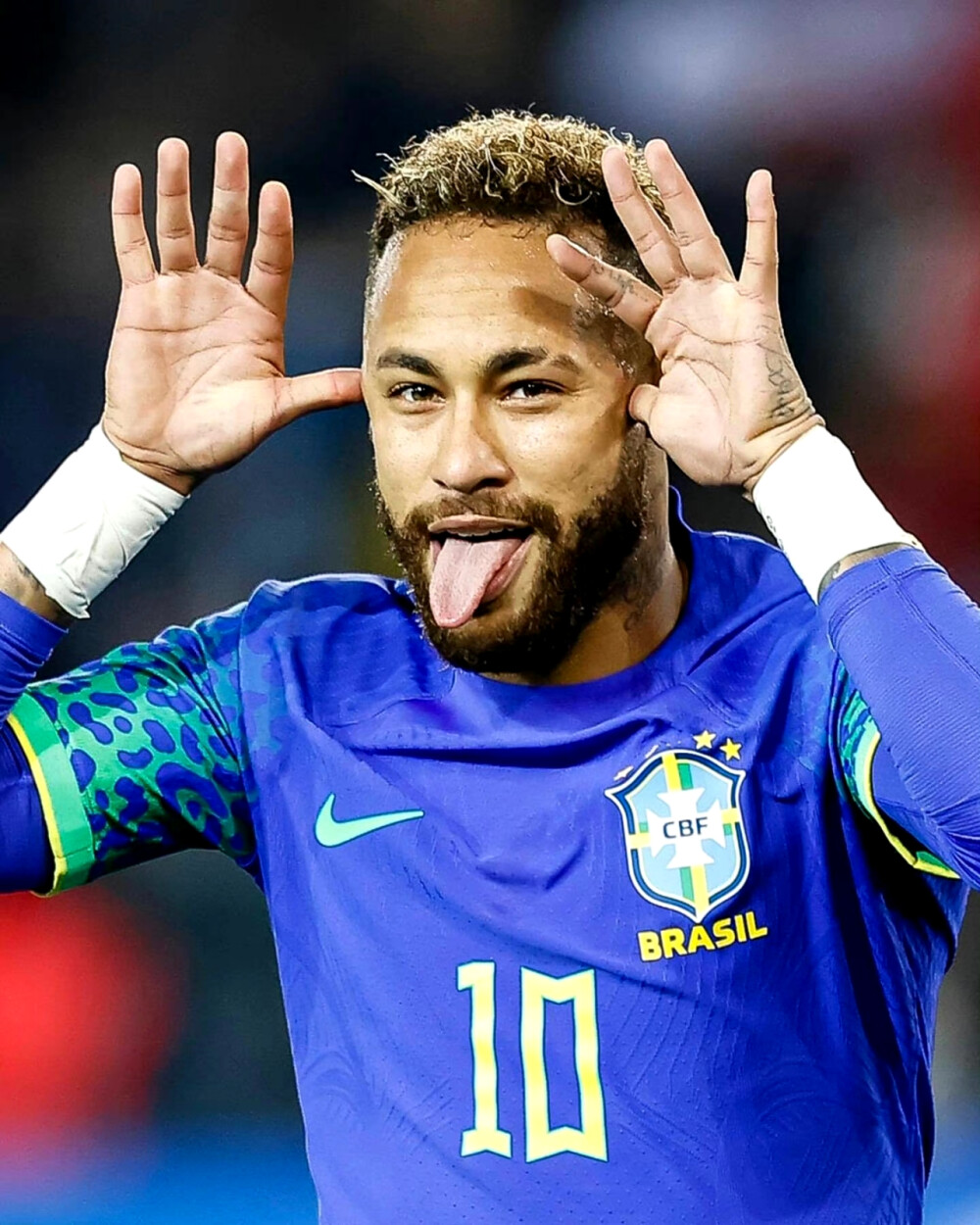 长远的未来 长远的未来