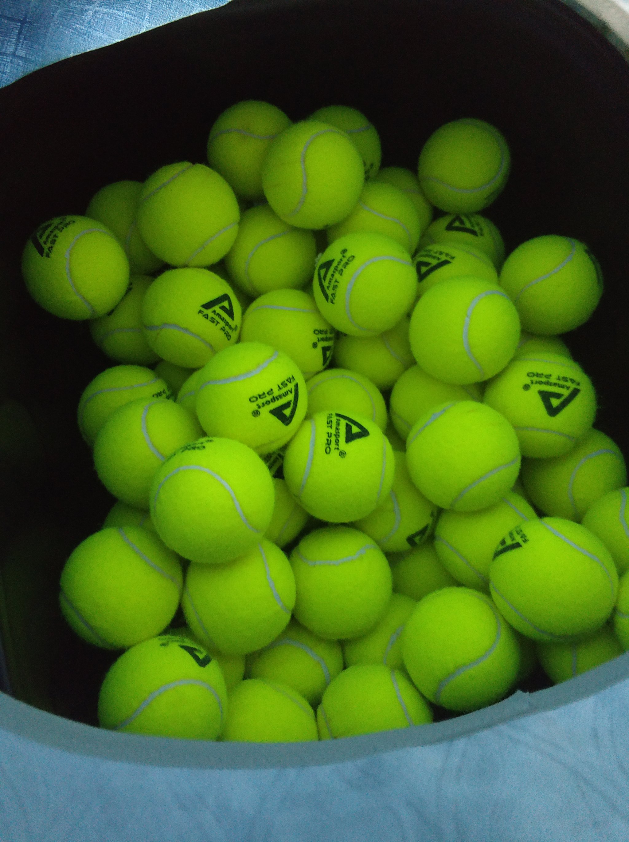 的战术组合 的战术组合