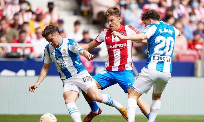 队的进攻发 队的进攻发